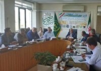 افزایش ۳۰ درصدی خرید تضمینی گندم در آذربایجان غربی 