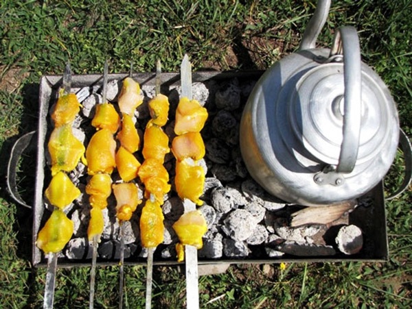 تضمین سلامت جسم در سفر با رعایت نکات تغذیه‌ای