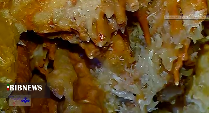 کهک؛ غار زایش یافته ایران