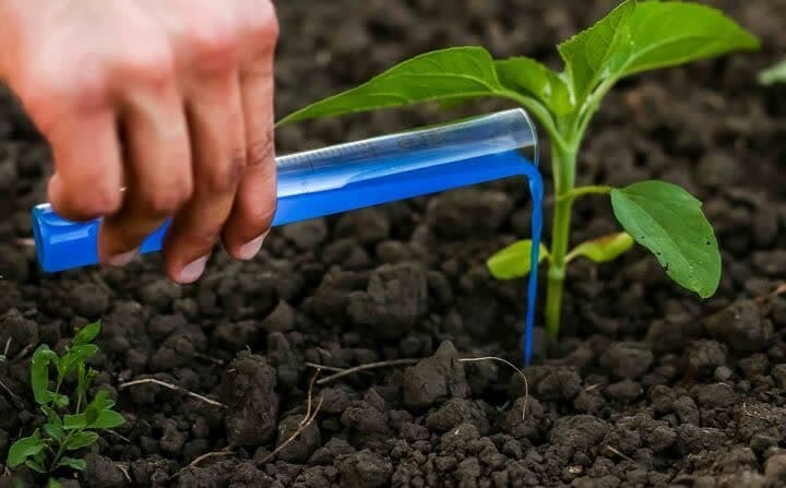 افزایش تولید محصولات اساسی کشاورزی با مصرف کودهای یارانهای افزایش تولید محصولات اساسی کشاورزی با مصرف کودهای یارانهای