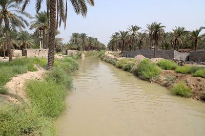 حق آبه نخیلات شادگان تامین شد حق آبه نخیلات شادگان تامین شد