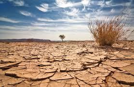 عدم وجود مدیر و نهاد مشخص برای مدیریت تغییر اقلیم در کشور