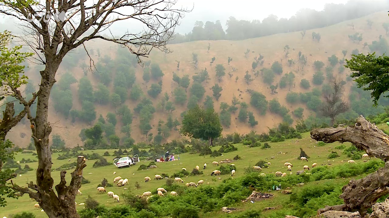 اردبیل همچنان ابری و مه آلود