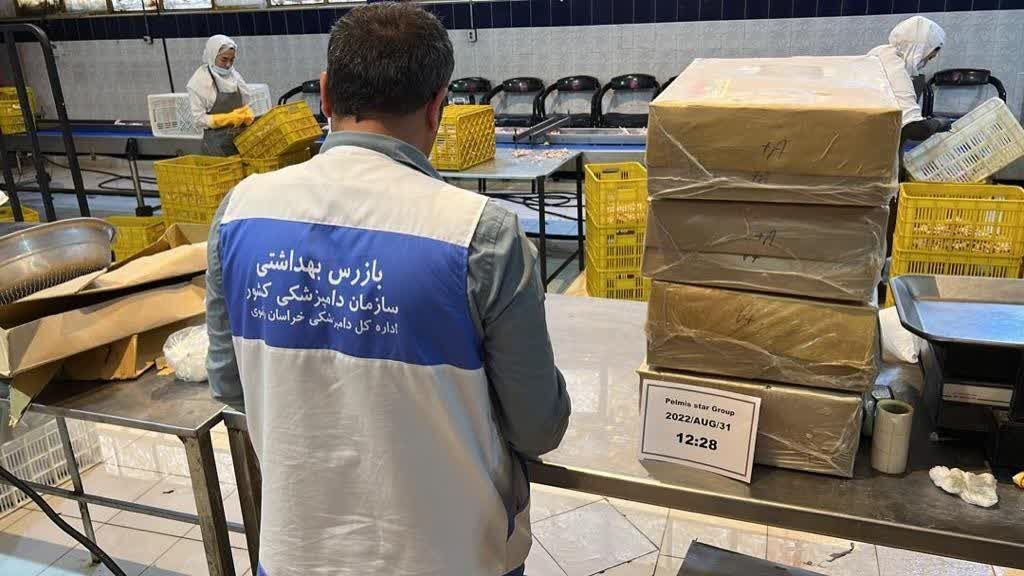صادرات بیش از ۲۸ هزار پای مرغ به کشور ویتنام از شهرستان طرقبه شاندیز