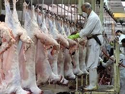 نظارت دامپزشکی بر ذبح بیش از ۷۳ هزار راس دام در زنجان نظارت دامپزشکی بر ذبح بیش از ۷۳ هزار راس دام در زنجان