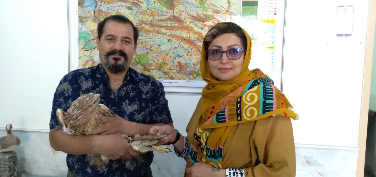 تحویل یک پرنده شکاری مصدوم به اداره حفاظت محیط‌زیست نیشابور