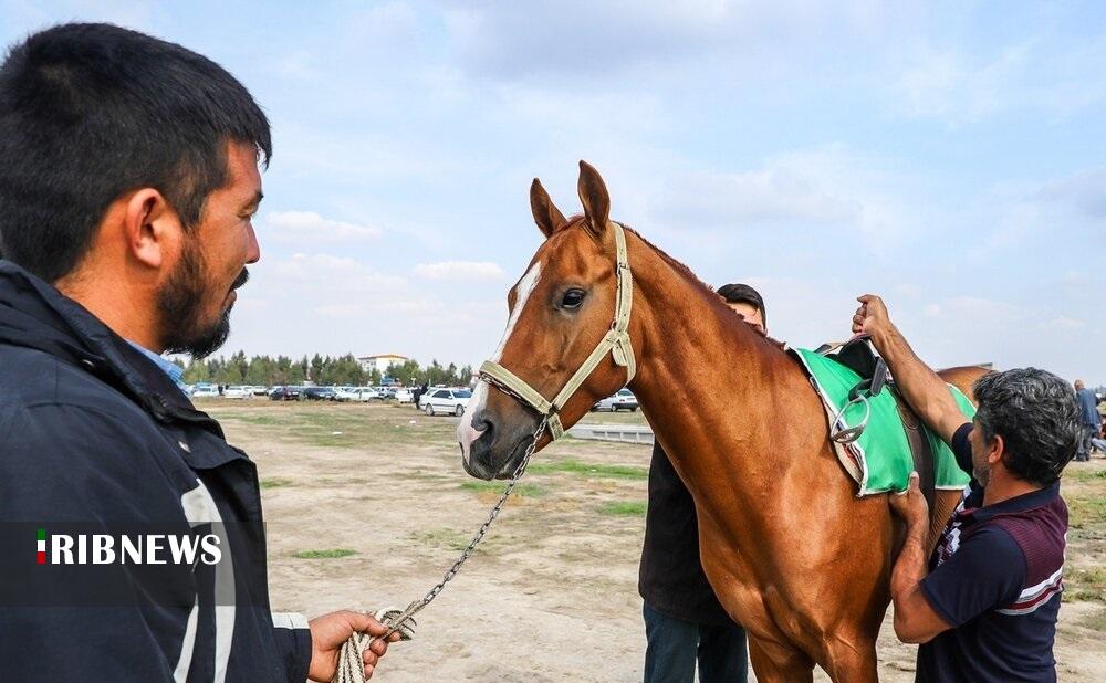 تعویق هفته هشتم کورس پاییزه آق قلا