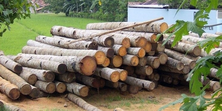 جلوگیری از قاچاق چوب بلوط در اندیمشک