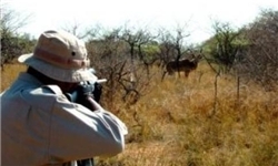 دستگیری ۴۴۴ متخلف شکار و صید در خوزستان دستگیری ۴۴۴ متخلف شکار و صید در خوزستان