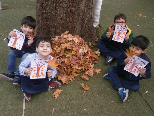 ۴ تاثیر عجیب فصل پاییز بر بدن انسان