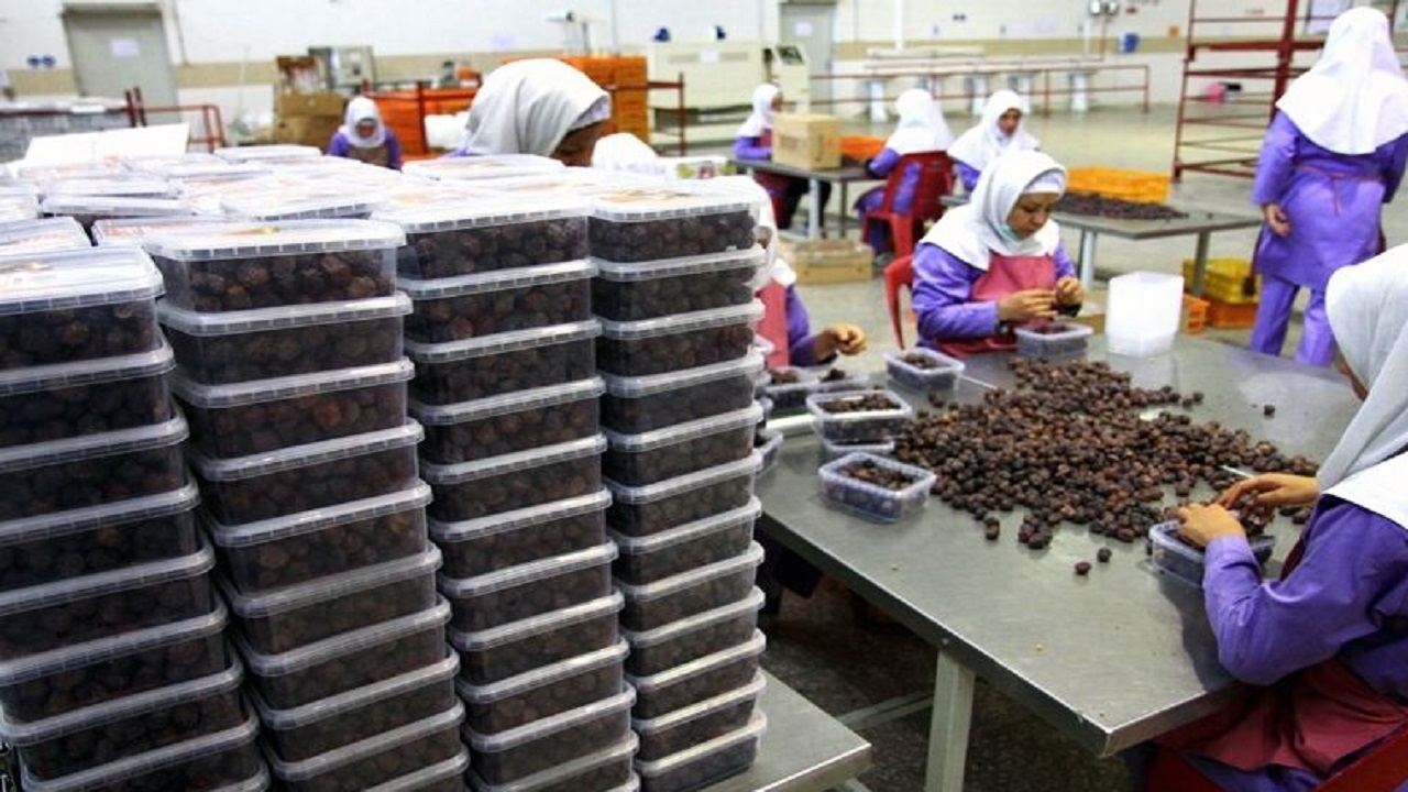 ظرفیت صنایع تبدیلی و غذایی بوشهر ۸۳ هزار تن افزایش یافت ظرفیت صنایع تبدیلی و غذایی بوشهر ۸۳ هزار تن افزایش یافت