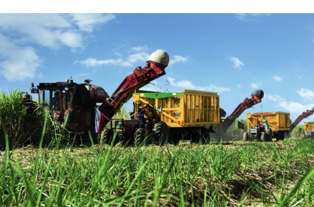 توسعه صادرات صنایع جانبی نیشکر با کمک دانشبنیانها توسعه صادرات صنایع جانبی نیشکر با کمک دانشبنیانها