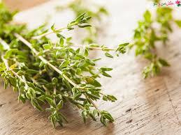 آویشن، گیاهی دارویی با خواص شگفت انگیز