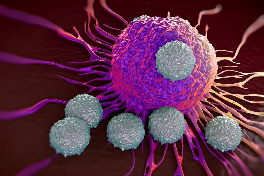 تایید اولین بیوداروی چینی برای درمان سرطان(ویترین / منبع : دفتر همکاری فناوری سفارت ایران در پکن)