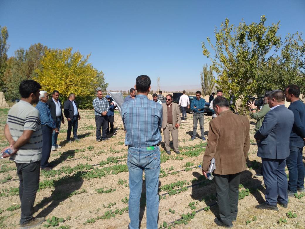 آغاز کاروان ترویج الگوی ملی کشت در گلبهار آغاز کاروان ترویج الگوی ملی کشت در گلبهار