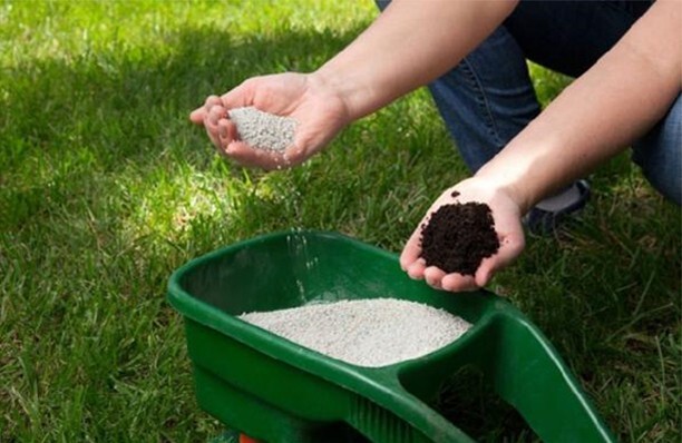 توزیع بیش از ۲۷ هزار تن کود شیمیایی در خوزستان توزیع بیش از ۲۷ هزار تن کود شیمیایی در خوزستان