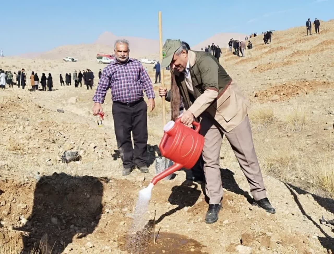 ۲.۵ میلیون اصله نهال در آذربایجانغربی غرس شد ۲.۵ میلیون اصله نهال در آذربایجانغربی غرس شد
