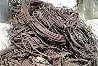 غافلگیری سارقان کابل برق حین سرقت