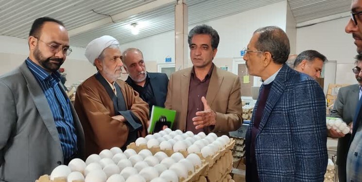 قطب پرورش شتر در خراسان رضوی نیازمند صنعتی شدن است قطب پرورش شتر در خراسان رضوی نیازمند صنعتی شدن است