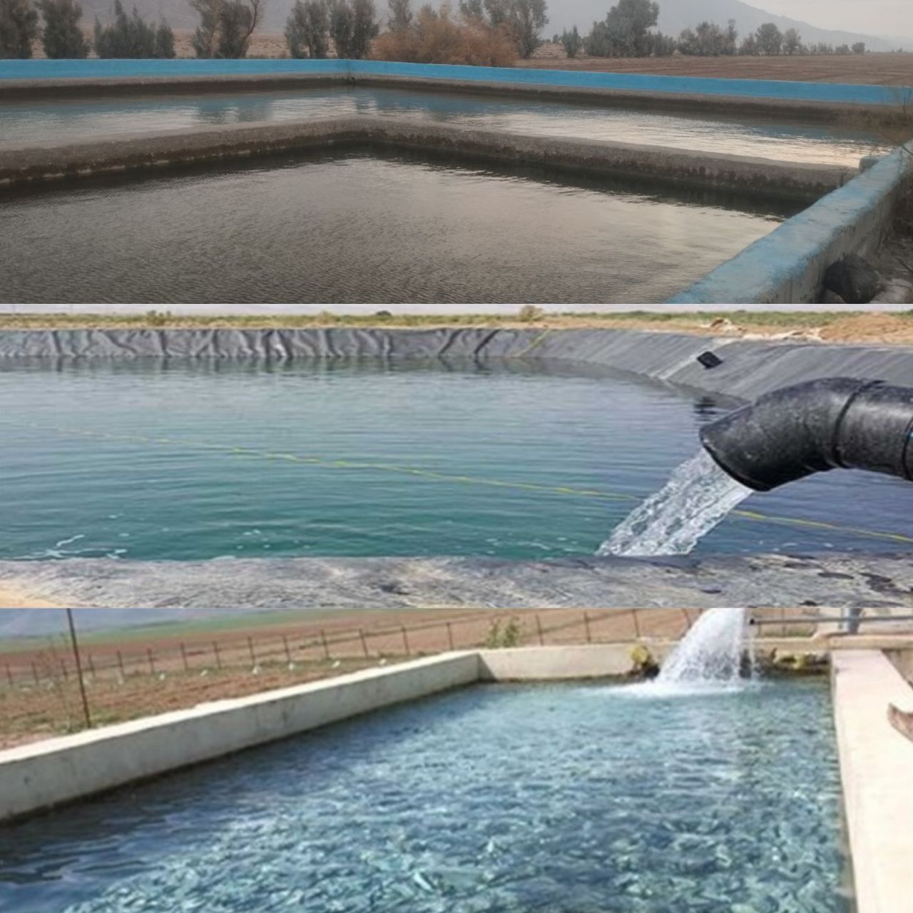 احداث ۲۰ استخر دو منظوره پرورش ماهی و ذخیره آب در شهرستان تفتان احداث ۲۰ استخر دو منظوره پرورش ماهی و ذخیره آب در شهرستان تفتان