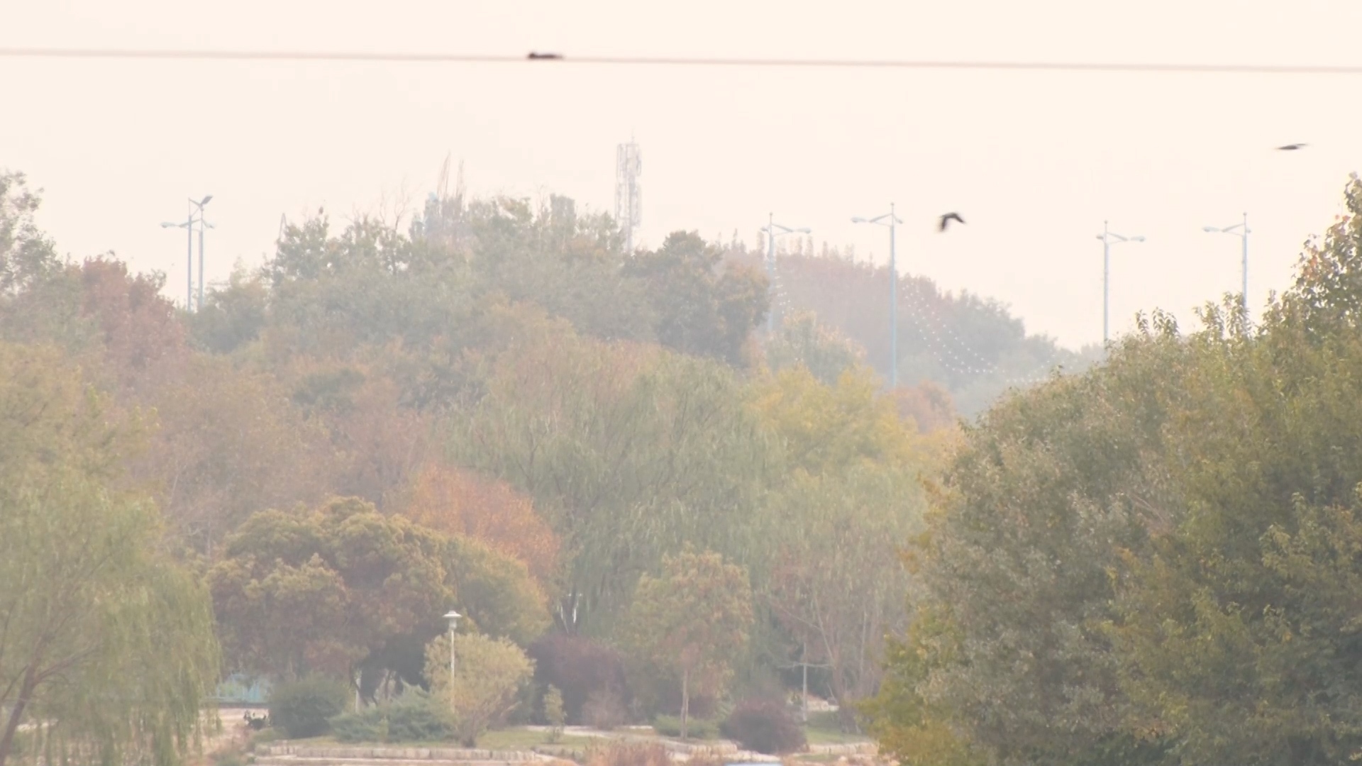 افزایش غلظت آلایندهها در اصفهان افزایش غلظت آلایندهها در اصفهان