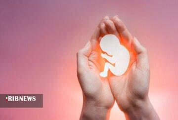 نجات ۷۸ جنین از سقط عمدی با اجرای طرح نفس در خراسان شمالی نجات ۷۸ جنین از سقط عمدی با اجرای طرح نفس در خراسان شمالی