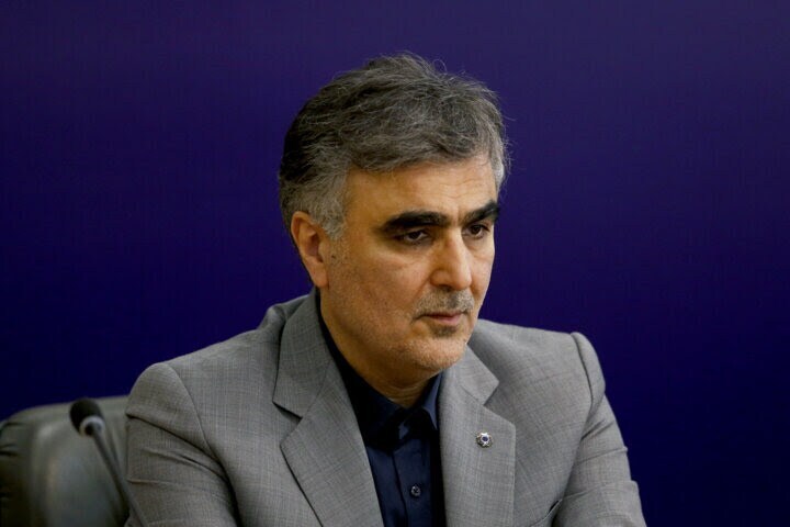 وابستگی ناترازی دولت و بانکها به یکدیگر وابستگی ناترازی دولت و بانکها به یکدیگر