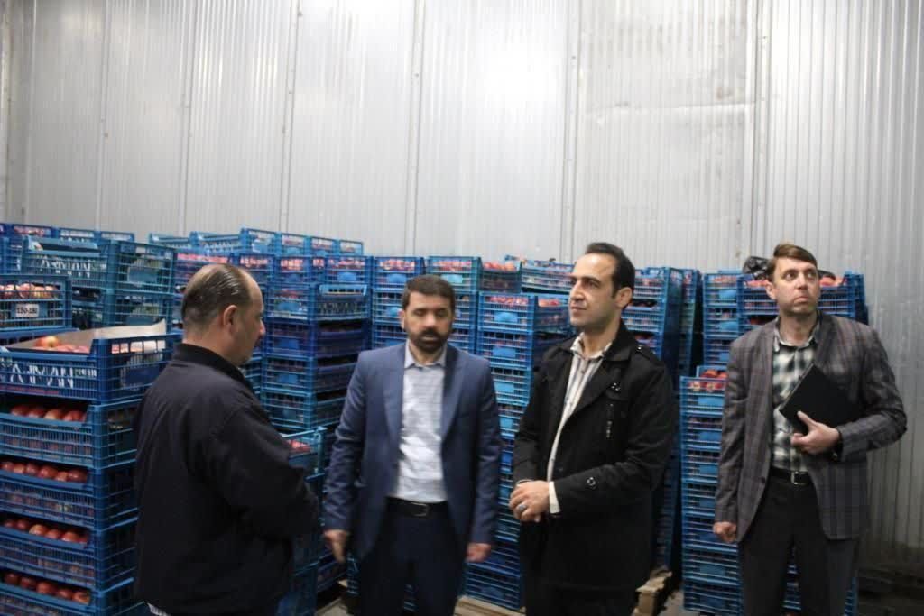 توزیع ۴۵ تن میوه تنظیم بازار در ایلام توزیع ۴۵ تن میوه تنظیم بازار در ایلام