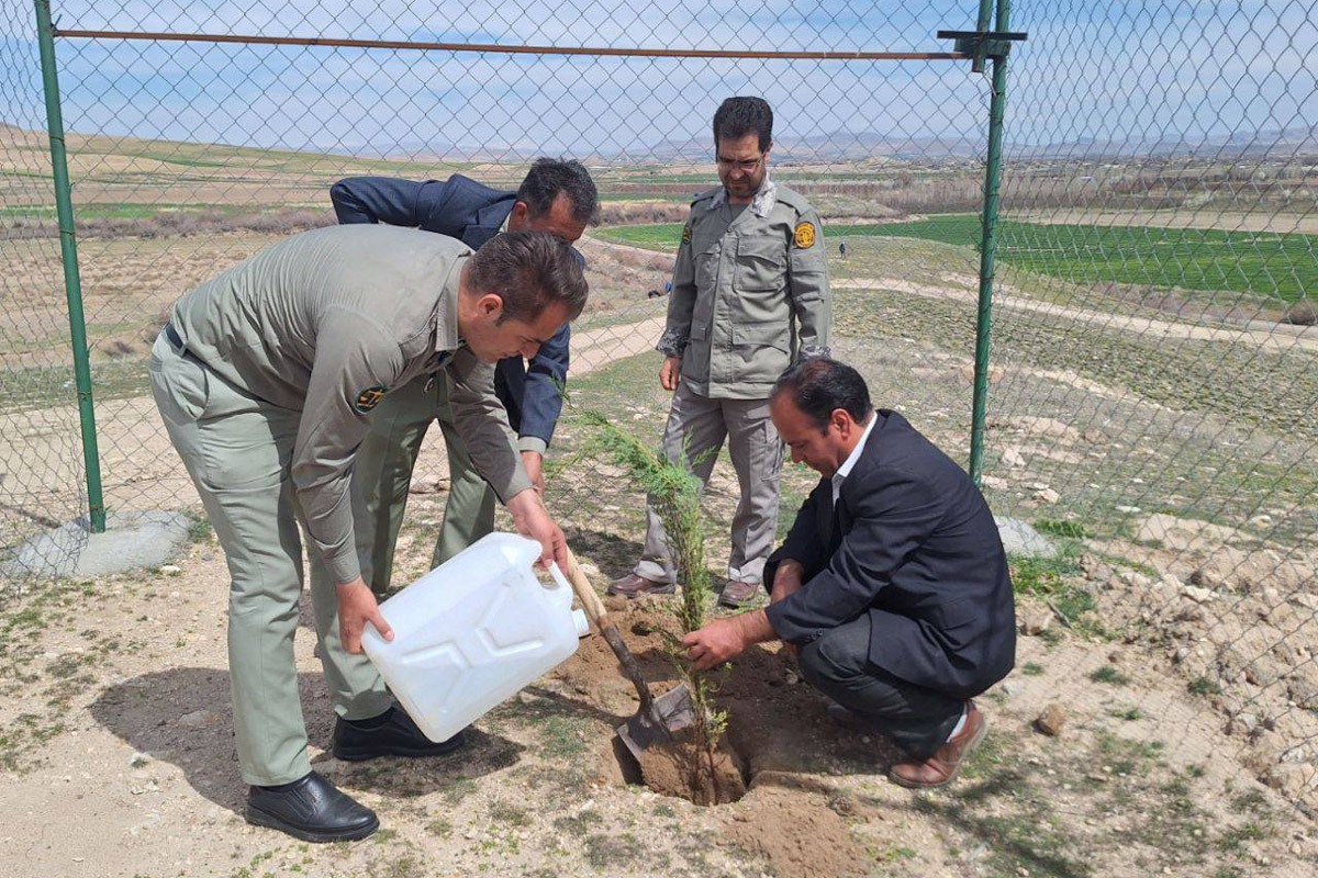 درختکاری در منطقه حفاظت شده تالاب نوروزلو درختکاری در منطقه حفاظت شده تالاب نوروزلو