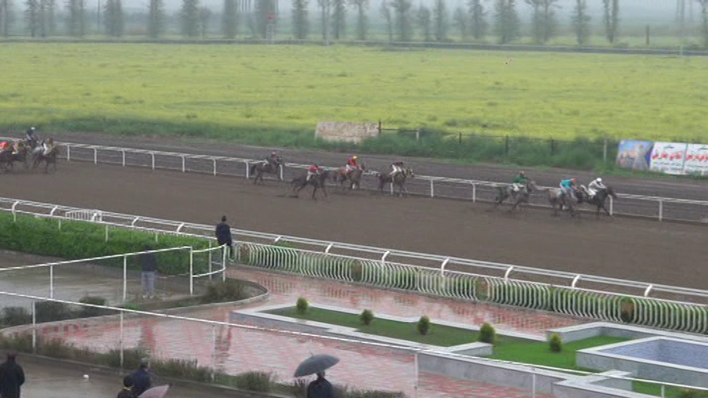 برترین چابکسواران رقابتهای سوارکاری امروز گنبدکاووس برترین چابکسواران رقابتهای سوارکاری امروز گنبدکاووس