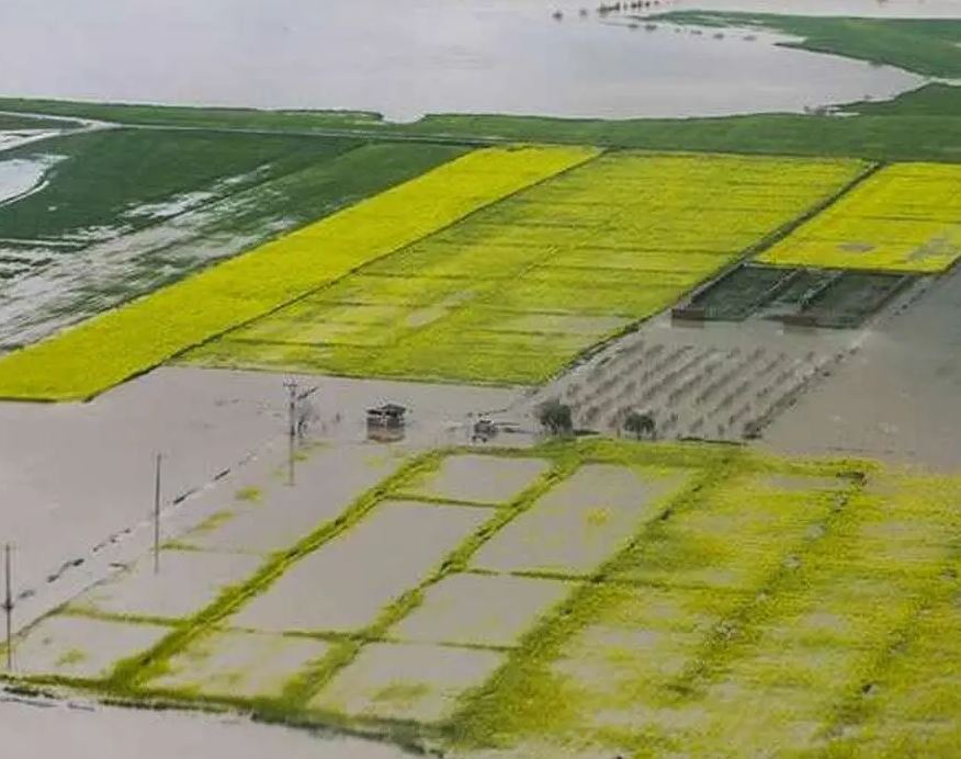 پرداخت تسهیلات سیل به کشاورزان یزدی به کجا رسید؟