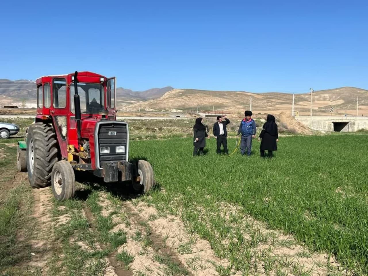 آغاز مبارزه با سن غلات در حوزه عمل مرکز جهاد کشاورزی دیزج دول