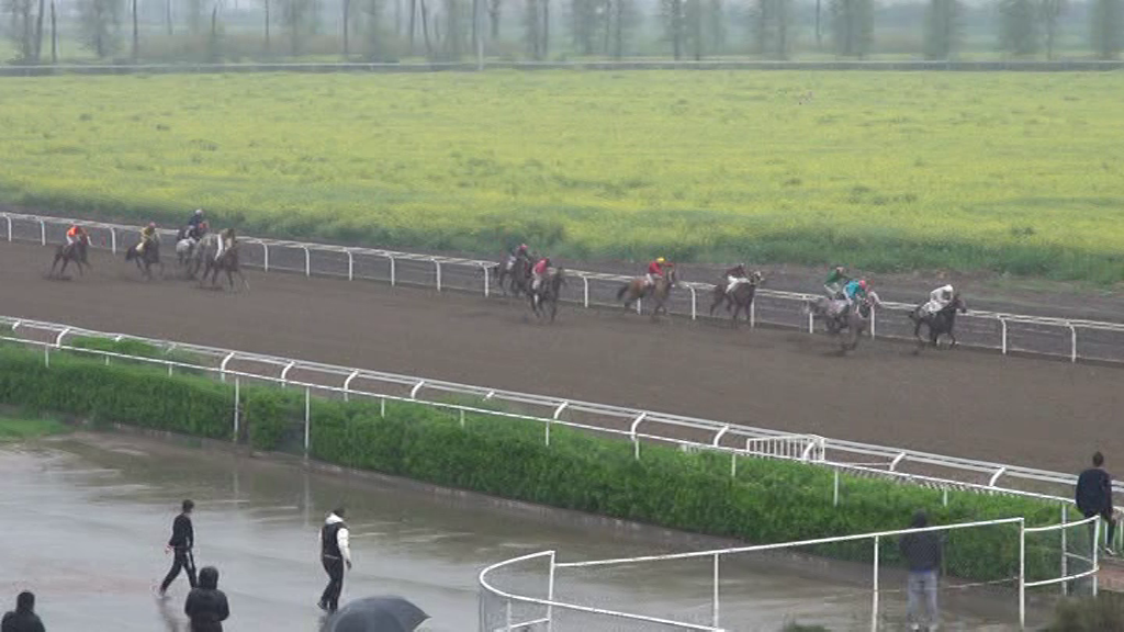 معرفی برترینهای رقابتهای سوارکاری گنبدکاووس؛ روز دوم هفته دوم معرفی برترینهای رقابتهای سوارکاری گنبدکاووس؛ روز دوم هفته دوم