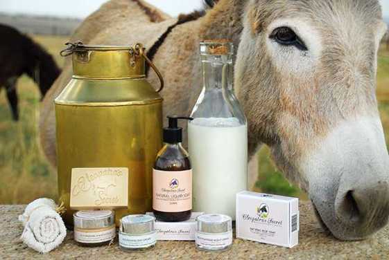 ثروت‌آفرینی با پرورش الاغ