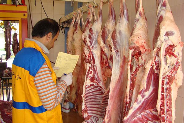 صدور بیش از ۵۶ هزار گواهی حمل تحت نظارت دامپزشکی زنجان صدور بیش از ۵۶ هزار گواهی حمل تحت نظارت دامپزشکی زنجان
