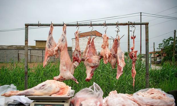 محکومیت ۱۱ نفر از عاملان کشتار غیر مجاز کشتار دام در رامهرمز به پرداخت جریمه محکومیت ۱۱ نفر از عاملان کشتار غیر مجاز کشتار دام در رامهرمز به پرداخت جریمه