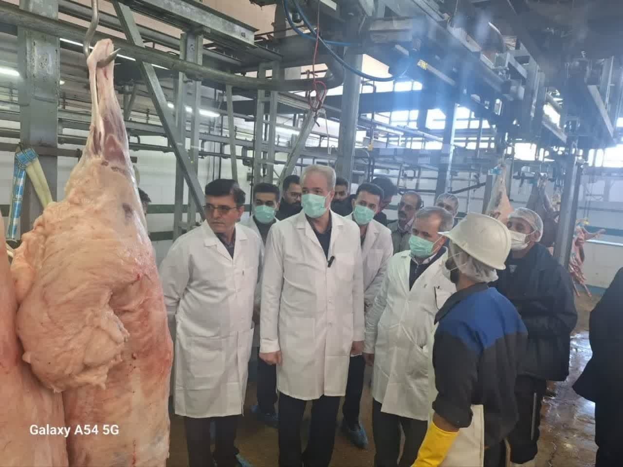 خرید حمایتی دام سنگین از خراسان شمالی شروع شد خرید حمایتی دام سنگین از خراسان شمالی شروع شد