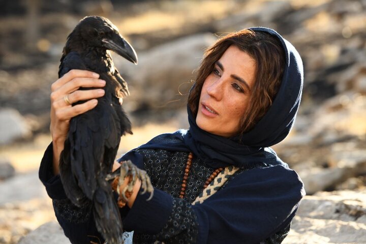 نمایش ۴ اثر در پنجمین روز جشنواره فیلم فجر