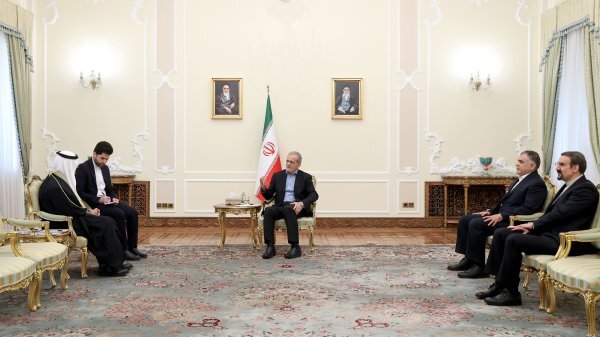 نگاه و سیاست مشترک در میان اعضای اوپک را بسیار مهم میدانیم نگاه و سیاست مشترک در میان اعضای اوپک را بسیار مهم میدانیم
