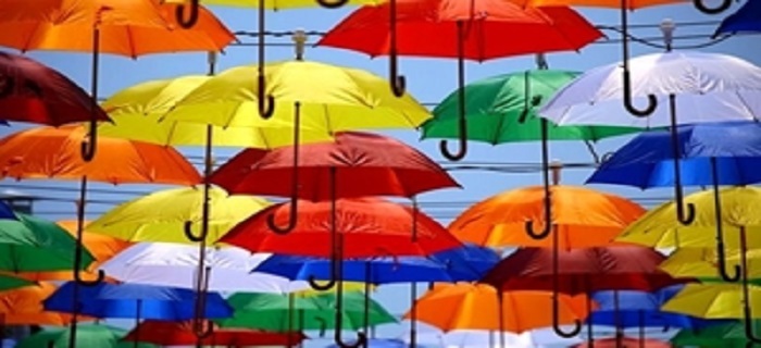 محکومیت قاچاقچی چترها در اسدآباد  محکومیت قاچاقچی چترها در اسدآباد