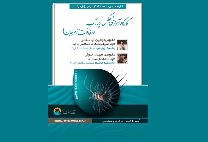 نمایش زیباییهای خلیج فارس در نمایشگاه عکس آبی کیش نمایش زیباییهای خلیج فارس در نمایشگاه عکس آبی کیش