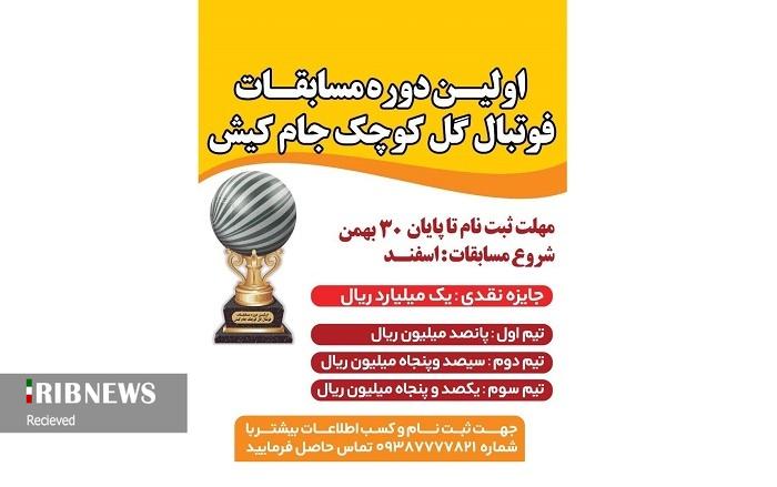 پایان بهمن آخرین مهلت نام نویسی در مسابقات گل کوچک پایان بهمن آخرین مهلت نام نویسی در مسابقات گل کوچک