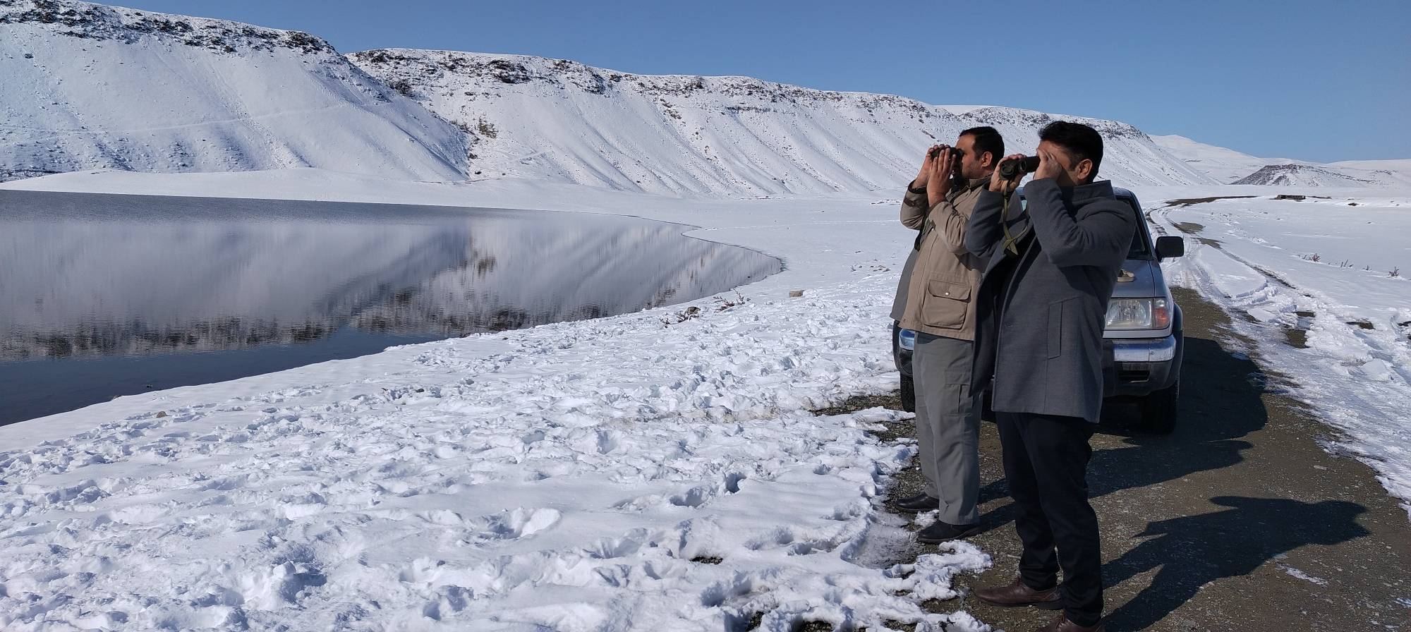 پایش مشترک آنفلوآنزای فوق حاد پرندگان در سلماس