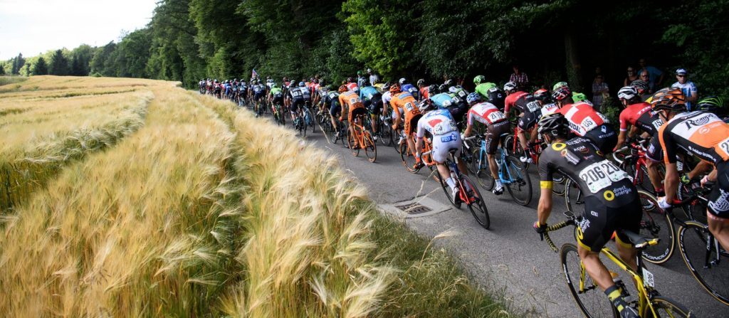 ورزشکار البرزی پس از ۱۸ سال مدال طلا مسابقات آسیایی را از آن خود کرد ورزشکار البرزی پس از ۱۸ سال مدال طلا مسابقات آسیایی را از آن خود کرد