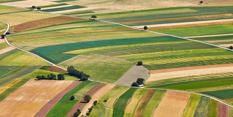 مشاهده نشدن کشت خشخاش در اراضی ملی خوزستان مشاهده نشدن کشت خشخاش در اراضی ملی خوزستان