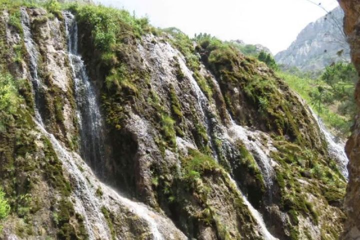 برنامه