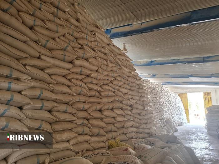 آرامش در بازار محصولات کشاورزی آذربایجان شرقی آرامش در بازار محصولات کشاورزی آذربایجان شرقی