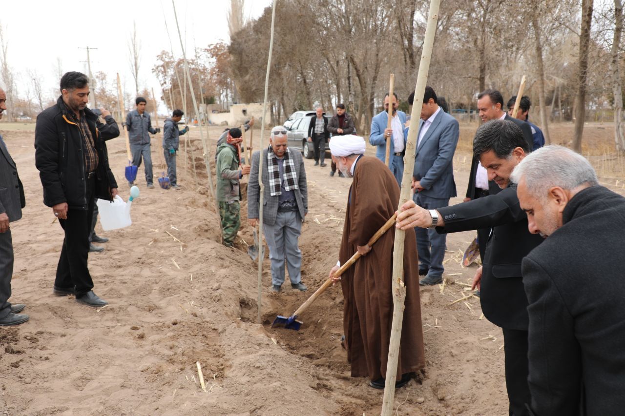 کاشت درخت بجای مجازات جایگزین حبس کاشت درخت بجای مجازات جایگزین حبس