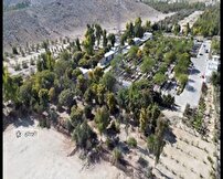 کاشت بیش از یک میلیون اصله نهال در لارستان