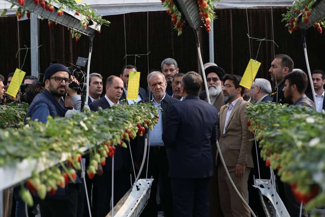 افتتاح سه طرح کشاورزی و دامپروری در سفر دولت به جنوب شرق تهران